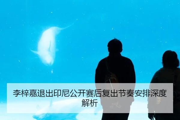 李梓嘉退出印尼公开赛后复出节奏安排深度解析